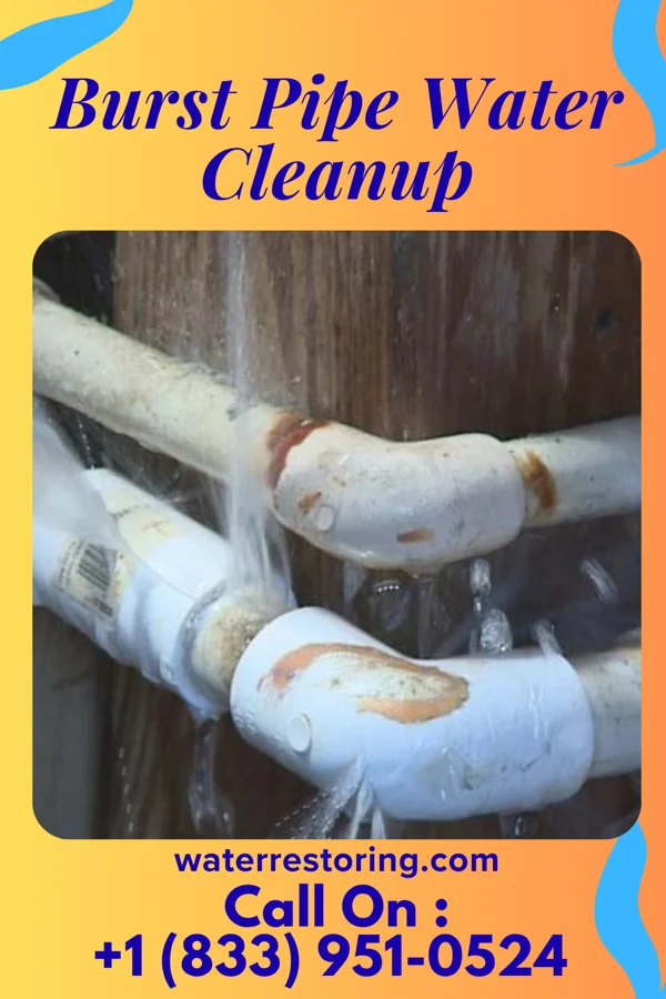 Burst Pipe Water Cleanup in Hamburg, NJ