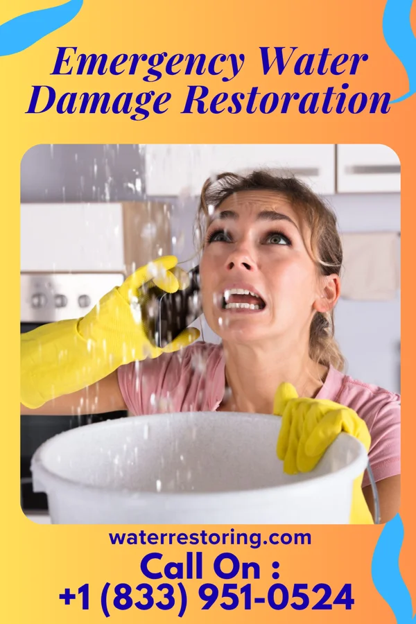 Emergency Water Damage Restoration in Hamburg, NJ