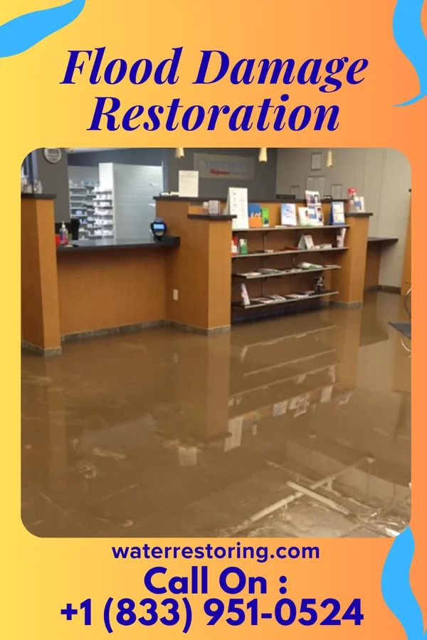 Flood Damage Restoration in Hamburg, NJ