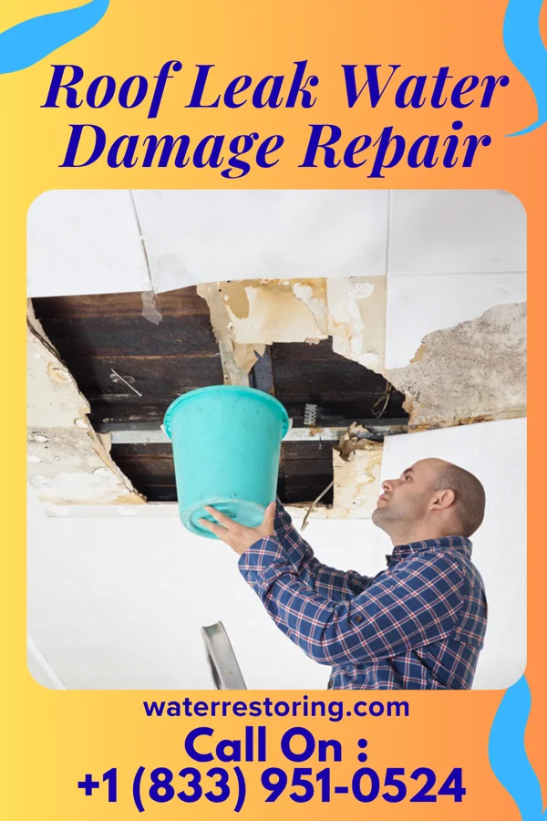 Roof Leak Water Damage Repair in Hamburg, NJ