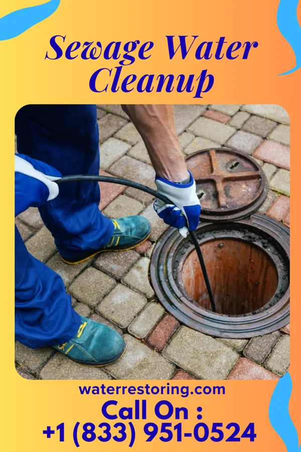 Sewage Water Cleanup in Hamburg, NJ